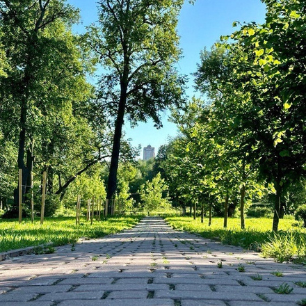 Доброе утро от Парков Чехова  #летовподмосковье #чехов #паркичехова