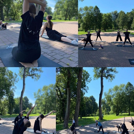 Уважаемые дамы!
