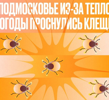 В Подмосковье проснулись клещи. Будьте внимательны!
