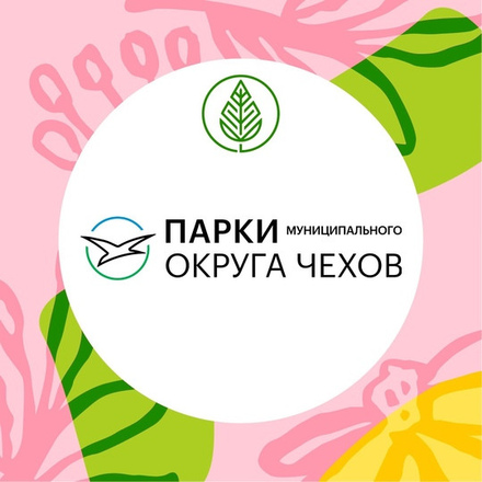 Контакты и группы 