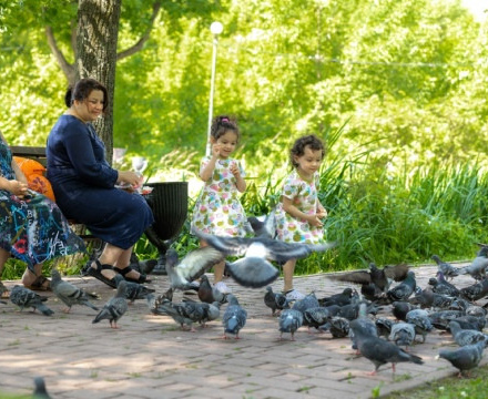 Сегодня в Парках Чехова