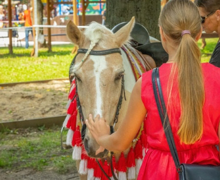 Сегодня в Парках Чехова