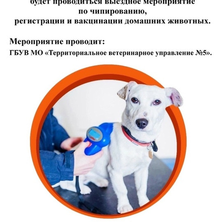 ЧИПИРОВАНИЕ ЖИВОТНЫХ в парках Чехова!