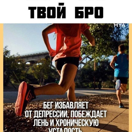 Дорогие друзья!