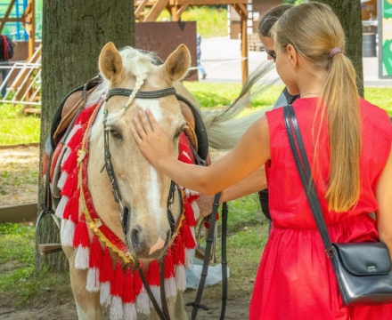 Сегодня в Парках Чехова