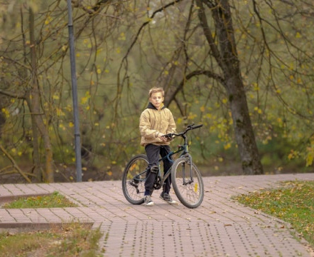 Сегодня в Парках Чехова