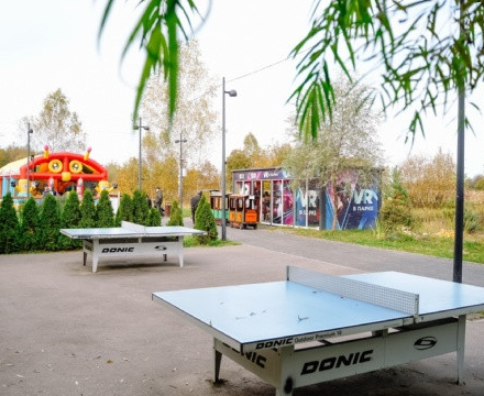 В Городском парке культуры и отдыха г.о.Чехов есть столы для игры в настоль...
