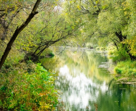 Сегодня в Парках Чехова