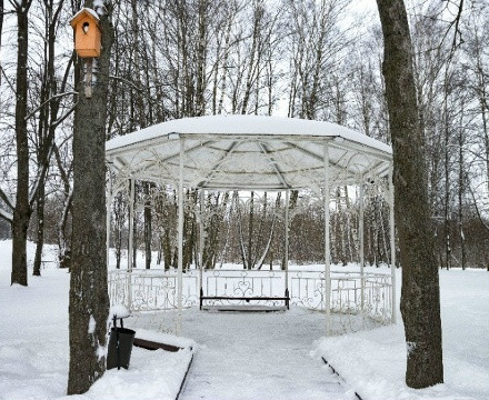 Сегодня в Парках Чехова