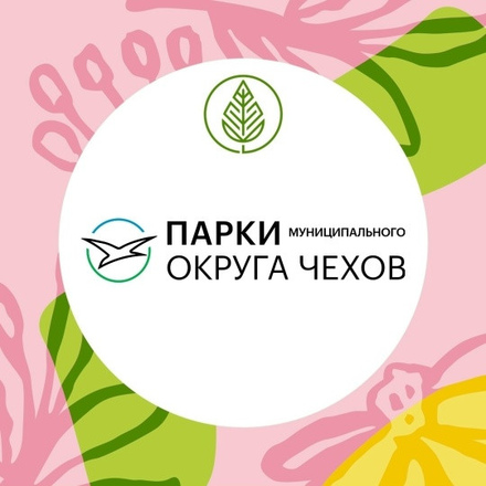 Контакты и группы 