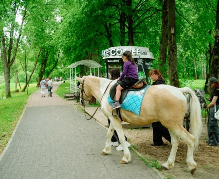 Сегодня в Парках Чехова