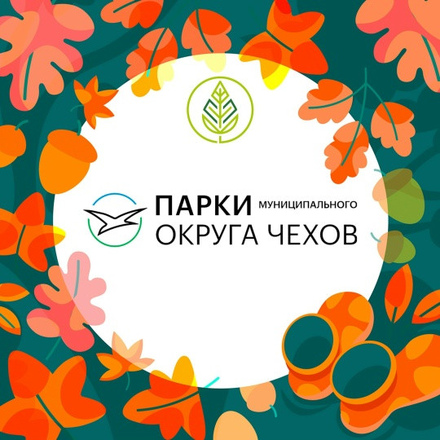 Контакты и группы 
